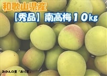 썂~10siGiA2L`LTCYjya̎RYz