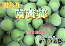 󂠂썂~5s@ya̎RYz