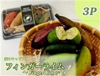 �t�B���K�[���C���@1�p�b�N50���@3�p�b�N����y���肾�����z