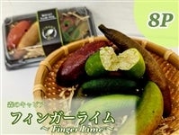 �t�B���K�[���C���@1�p�b�N50���@8�p�b�N����y���肾�����z