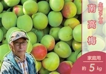 �����̓썂�~�@��5�s�@2L�T�C�Y�y���肾�����z�y�N�[���ցz��6����{��菇�������\��
