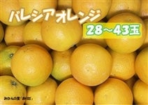 oVAIW28`43