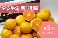 �yAQ�I�ʏ�z��瑁��HQ�i���I�j��5kg�@�GS�`L�T�C�Y�@��10�����{�`���{�ɂ����ď��������\��