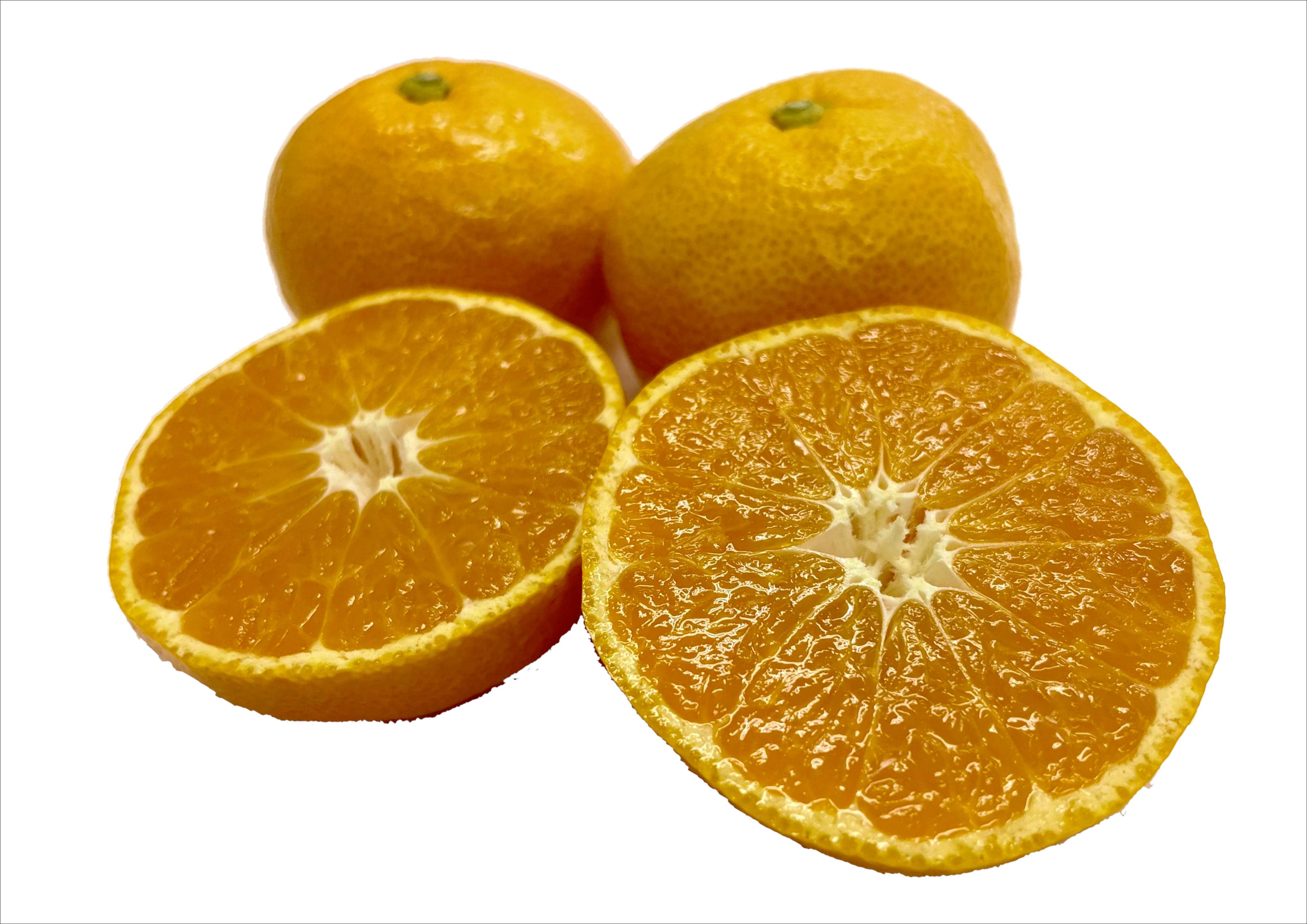 ○ハウスみかん 400g×8パック○: みかんの里「JAありだ」|【ＪＡタウン】産地直送 通販 お取り寄せ