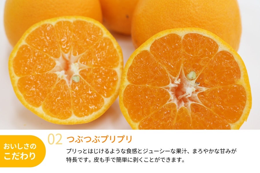 はるみ 約4kg(20〜24玉) (紀南)