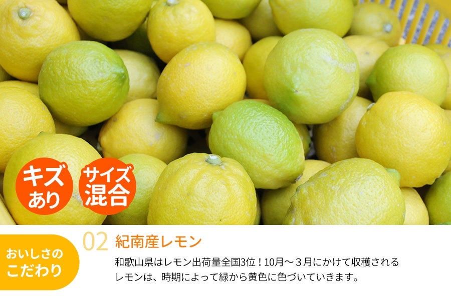 和歌山県産 レモン 約2kg <11月下旬〜発送>(紀南)
