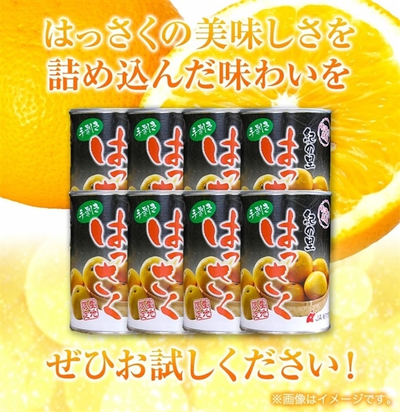 セール品】手剥き八朔缶詰（ミックス）450g×8本入【賞味期限間近の為