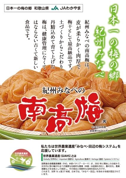 紀州みなべの南高梅 しそ漬梅 1.5kg【木樽・化粧箱】塩分:約13％ (紀州