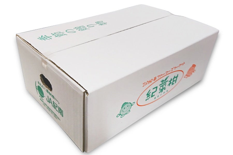 【紀菜柑】和歌山県産 グリーンレモン 約3kg(紀南)