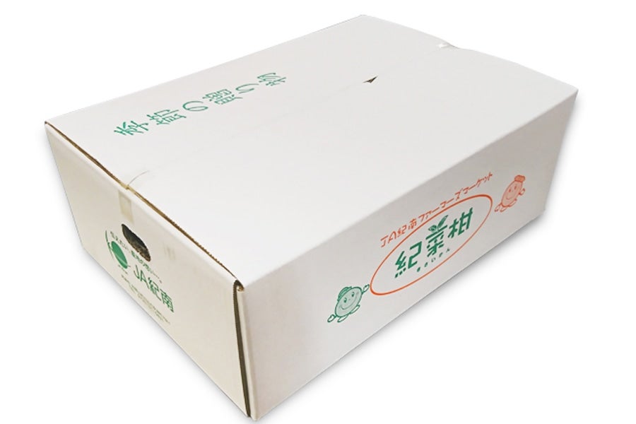 【紀菜柑】和歌山県産 グリーンレモン 約5kg(紀南)