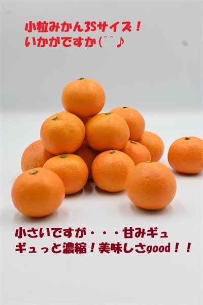和歌山しもつ 美味しさぎゅっと凝縮!小粒みかん