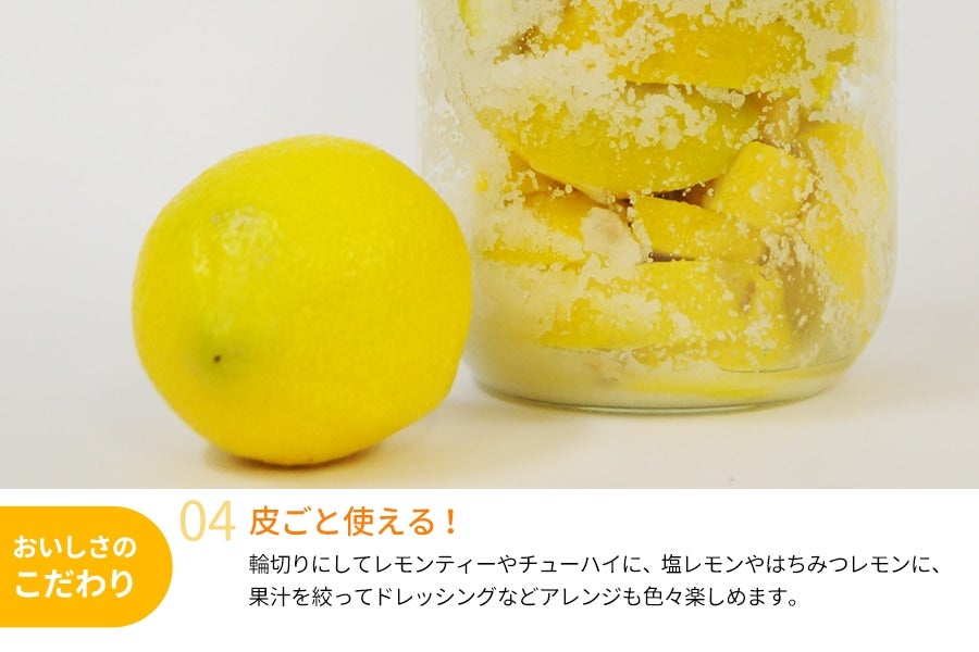 和歌山県産 レモン 約2kg <11月下旬〜発送>(紀南)