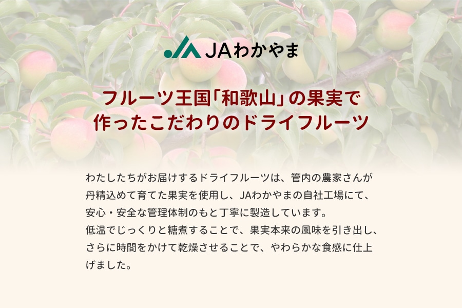 ドライフルーツすもも 20g×30袋(紀南)