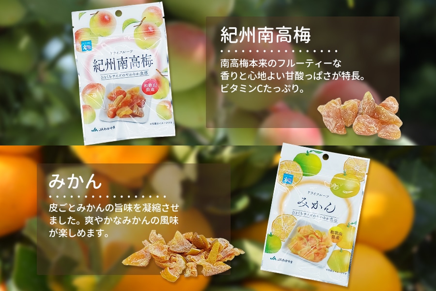 ドライフルーツ6種類×6袋セット(紀南)