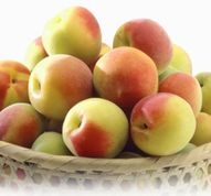 紀州和歌山の南高梅 5kg（6月6日頃～順次発送）: ココ・カラ