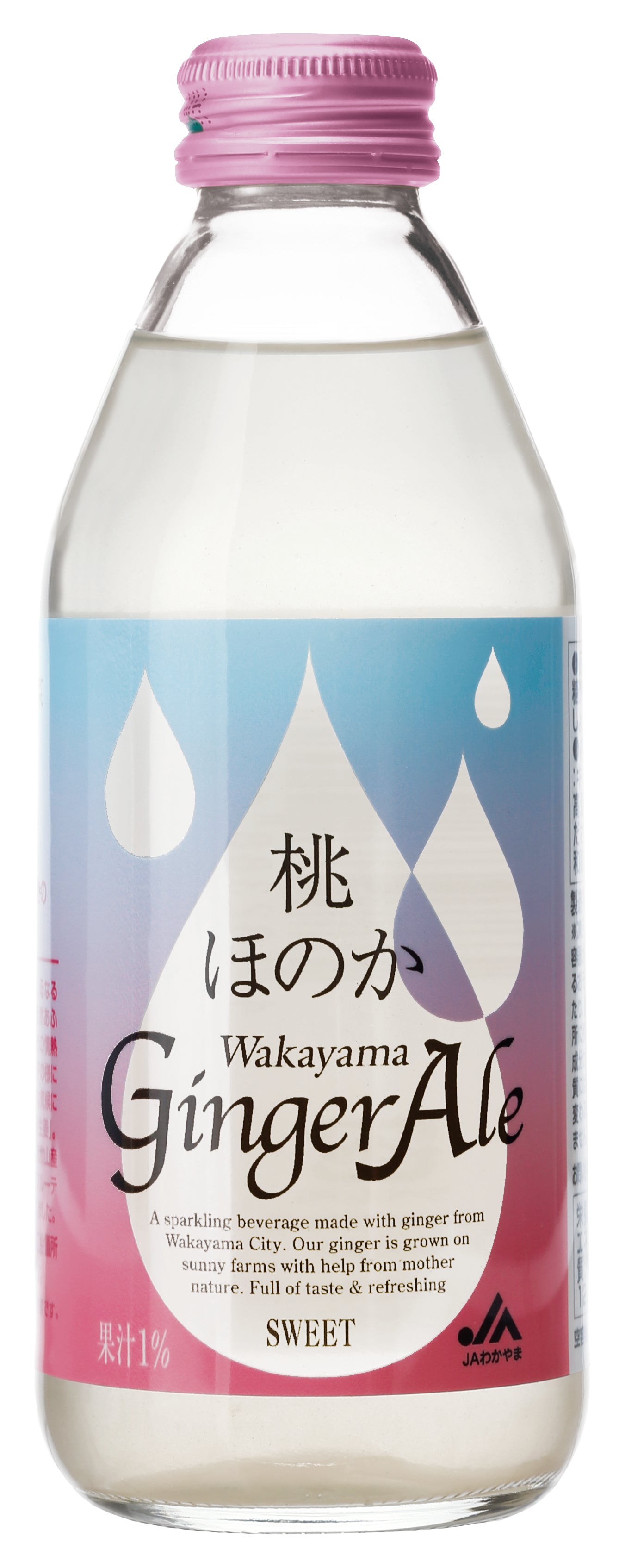 ق̂Wakayama GingerAle  250ml×24{i킩܁j