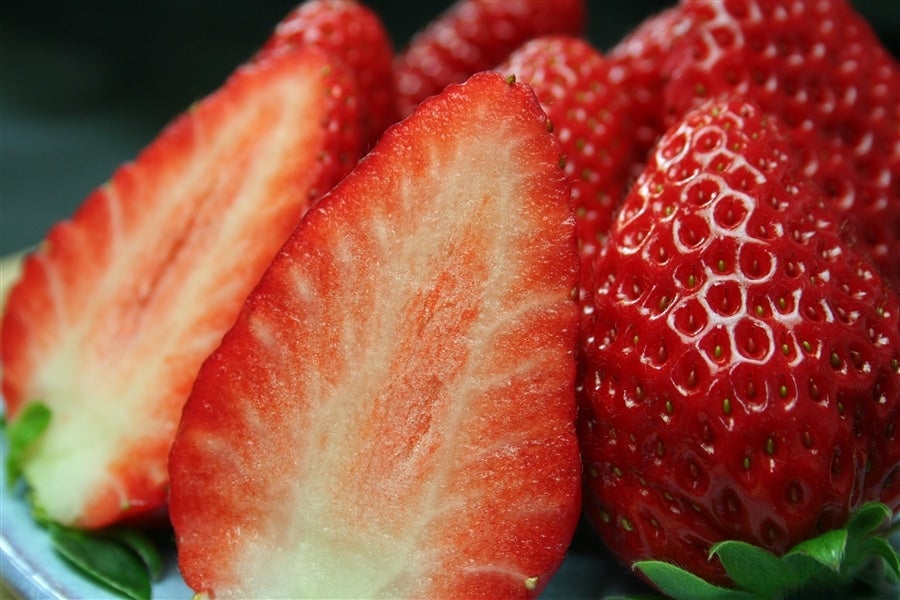 クリスマス限定「まりひめいちご」 約500g ※12/19〜22発送(紀の里)