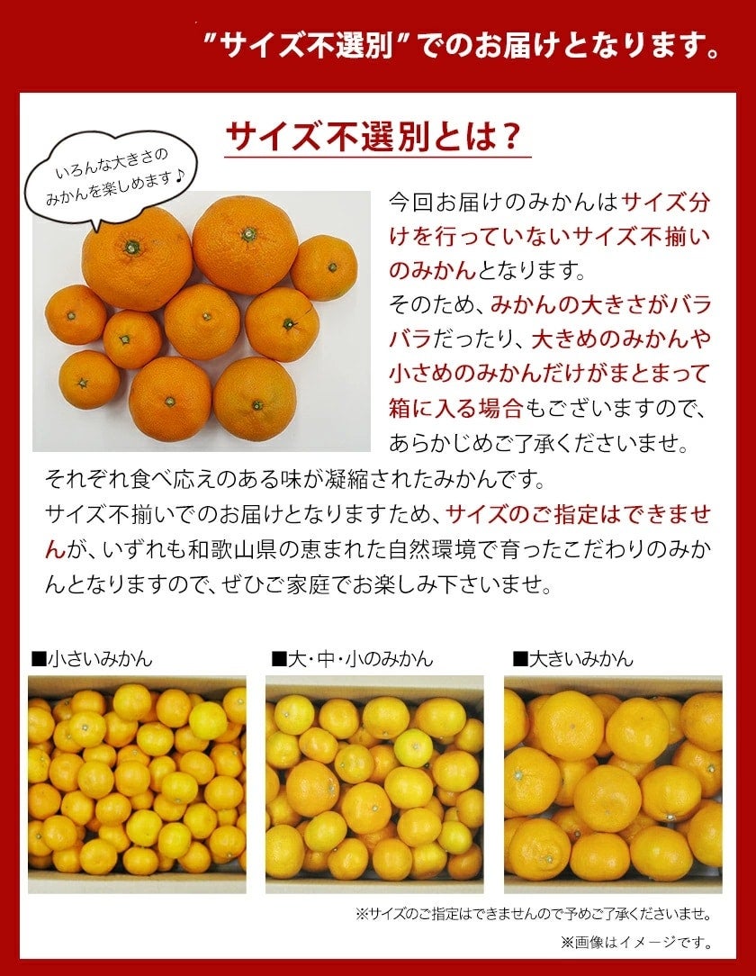ご家庭用・ご自宅用】訳アリ みかん 5kg【不揃い】【キズあり】: ココ