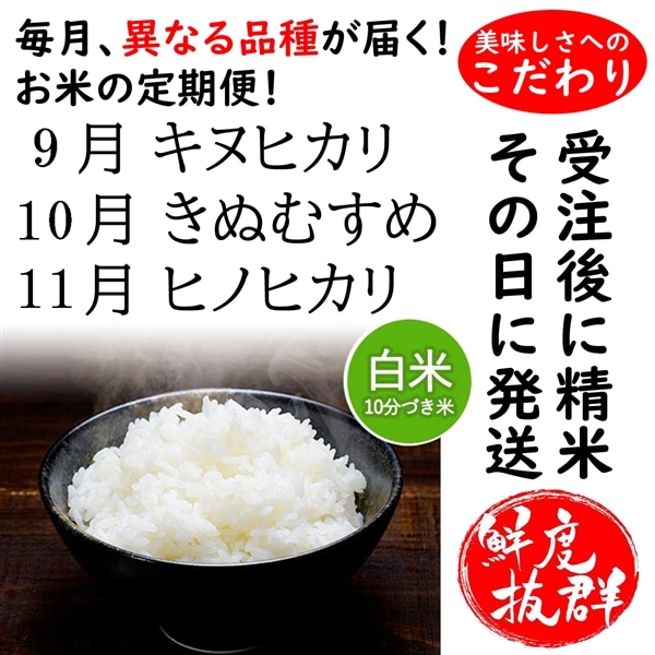 頒布会】【限定100セット】自慢のお米3品種を月ごとにお届け！ きぬ