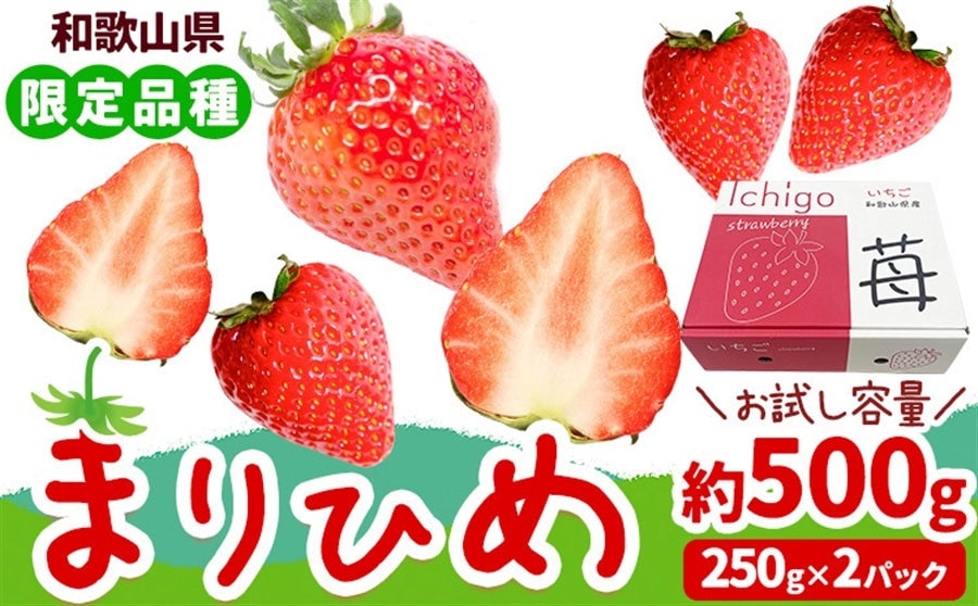 いちご（まりひめ）２箱　2Ｌサイズ　きんページ まりひめ いちご（苺） 2Lサイズ 約500g（250g×2パック）: ココ