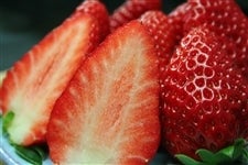 NX}Xu܂Ђ߂v 1kg@12/19`20iI̗j