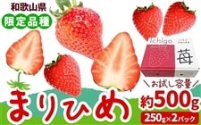 NX}Xu܂Ђ߂v 500g@12/19`22iI̗j