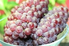 �y�Еz���p�z�G�R�t�@�[�}�[�F��u�n�E�X�f���E�F�A�v��2kg�i9�`16�[���j�i�I�̗��j