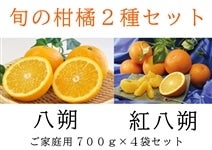 2種類】柑橘食べ比べセット2.8kg（各種700g×各2袋ずつ