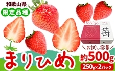 まりひめいちご 2Lサイズ 約500g（250g×2パック）（紀の里）: ココ
