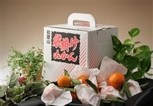 Εɂu܊|݂vn@3kgiI̗j