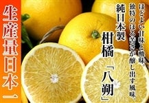 和歌山県産 八朔 (約5kg:3L）: ココ・カラ。和歌山マルシェ