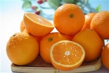 �₳�����Â� �����@��10kg:2L�i�I�̗��j