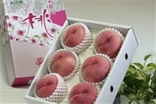 ij쒆@2kg:6`8ʓiI̗j