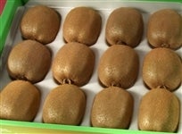 I̕PLECt[c@1.8kg:12ʓiI̗j