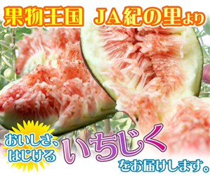 Î̗܁`uv 1.2kg