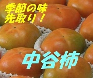 J`@4kgi15`18ʓj