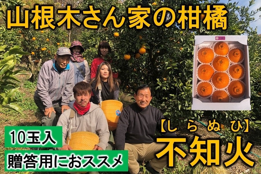 やっちょん広場 山根木さん家の柑橘 不知火 10玉入 【贈答用に