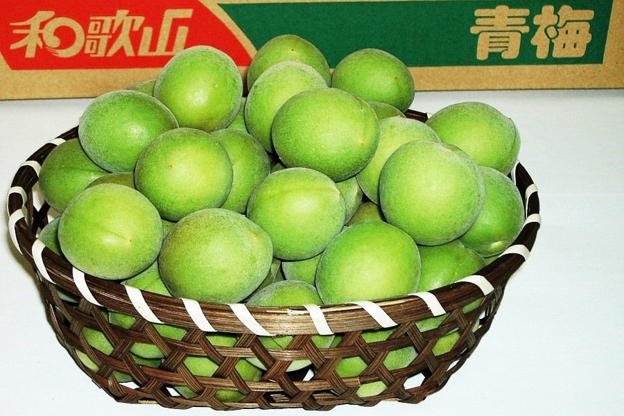 和歌山の梅 古城梅（青梅） Lサイズ 約10kg: ココ・カラ