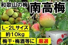 a̎R̔~@썂~@L`QkTCY POjgiIkj