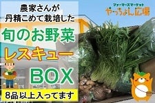 L@{̂؃XL[BOX@WiȏiIkj