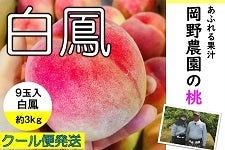 L@삳Ƃ̓@PX RkgiIkj