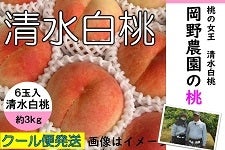 L@삳Ƃ̓@U RkgiIkj