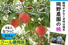 L@삳Ƃ̓@Ȃ@9ʁ@RkgiIkj