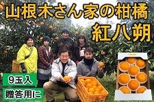 やっちょん広場　山根木さん家の柑橘　紅八朔　９玉入　【贈答用に】（紀北）