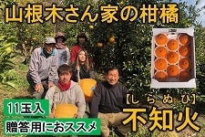 やっちょん広場　山根木さん家の柑橘　不知火　１１玉入　【贈答用に】（紀北）