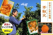 ��������L��@���J����Ƃ̊��k�@�s�m�΁@���t�l�߁@��T�����i�I�k�j