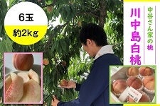 L@JƂ̓@쒆@Uʁ@QiIkj