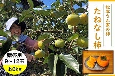 やっちょん広場 松本さん家の柿 たねなし柿 9～12玉 約2.5kg