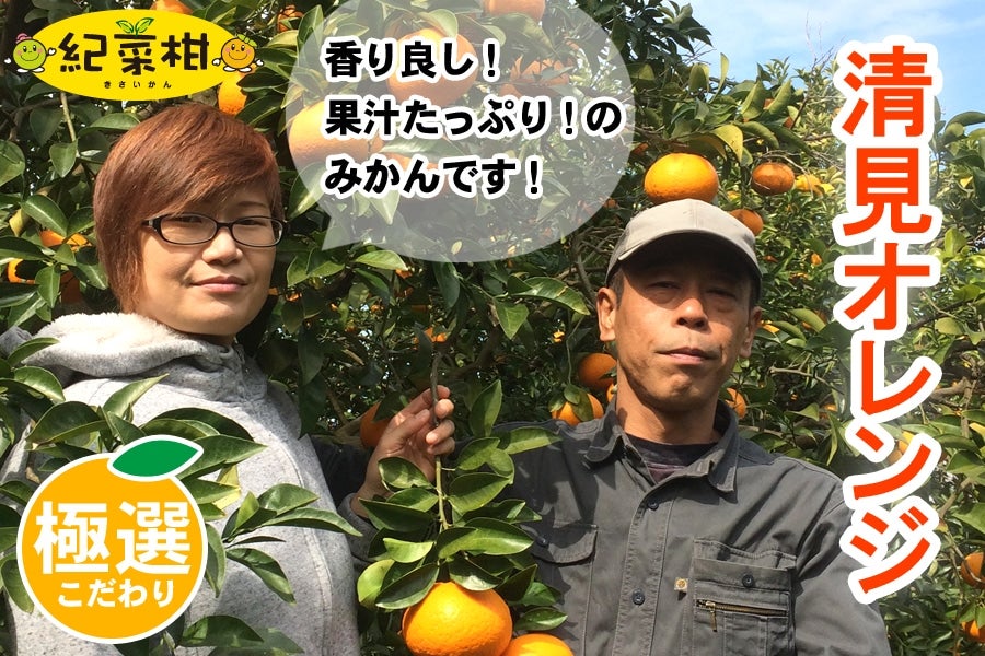 【紀菜柑】泉智志男(映恵子)さんの「清見オレンジ」秀・優品(M〜3Lサイズ) 約4.5kg(紀南)