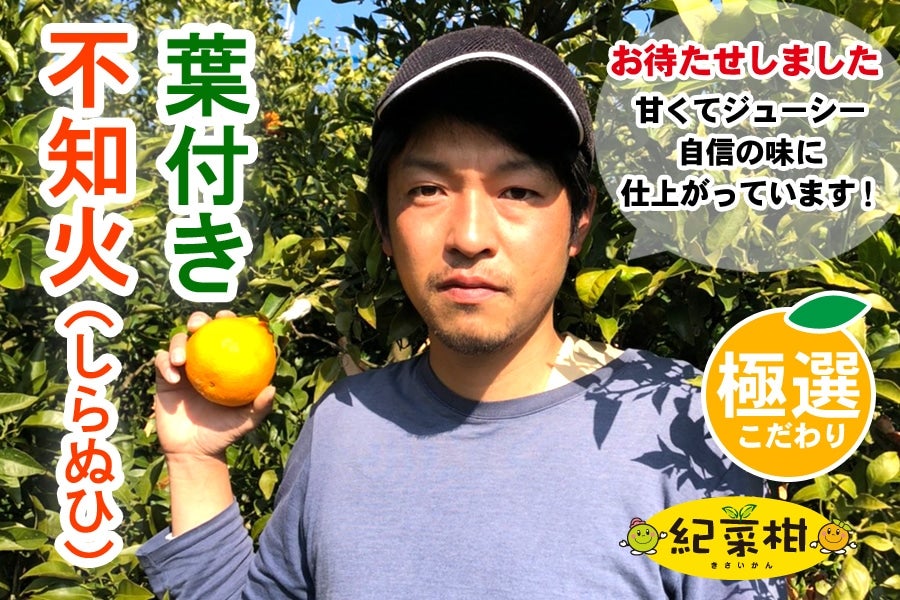 【紀菜柑】鈴木惣志郎さんの「葉付き不知火」 11玉入り 約3.6kg(紀南)